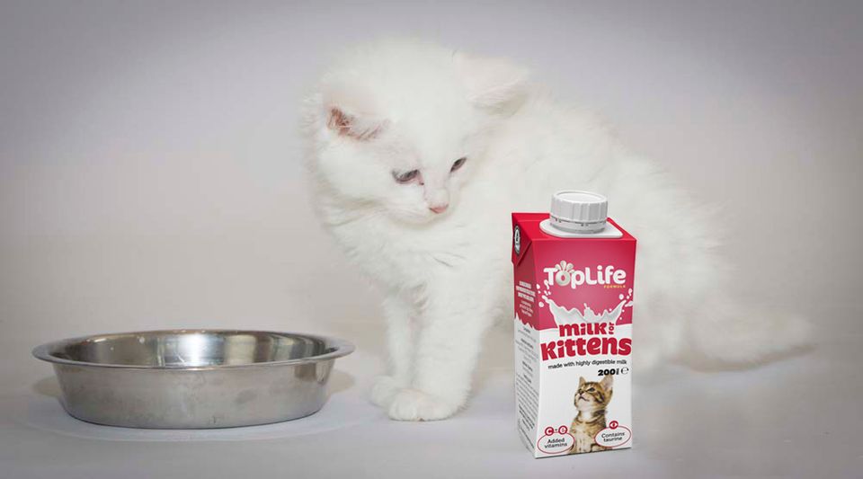 TopLife Milk for Kittens