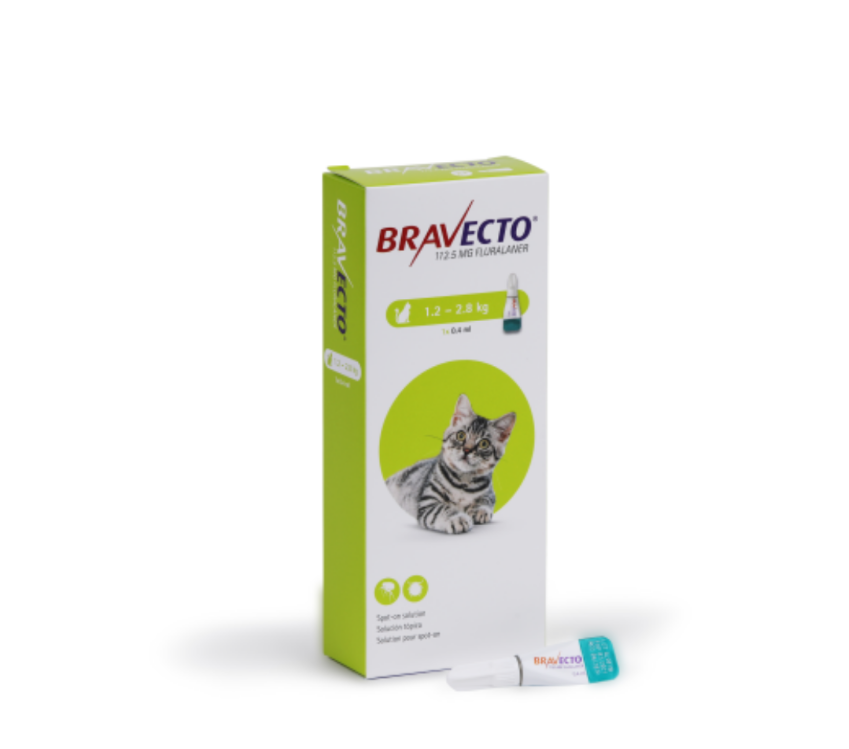 Bravecto Spot-On for Cats 1.2 - 2.8 kg 0.4ml Small Cats