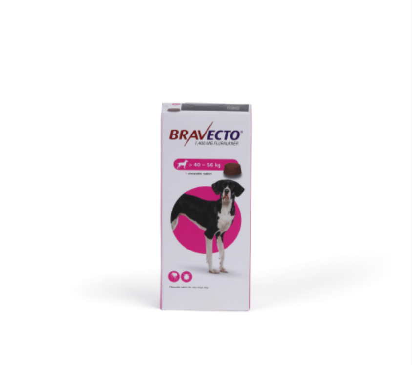Bravecto Chewable for Very Large Dogs 40 - 56 kg Tablet 1400mg