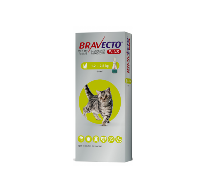 Bravecto Plus 112.5 mg / 5.6 mg for Small Cats