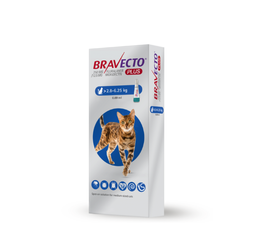 Bravecto Plus 250 mg / 12.5 mg for Medium-Sized Cats