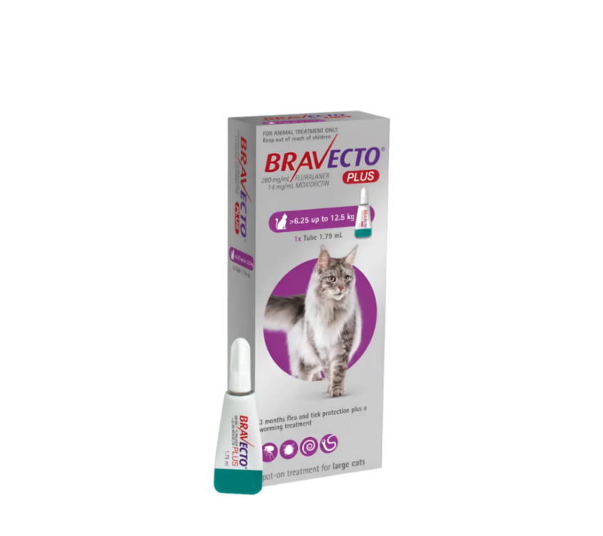 Bravecto Plus 500 mg / 25 mg for Large Cats
