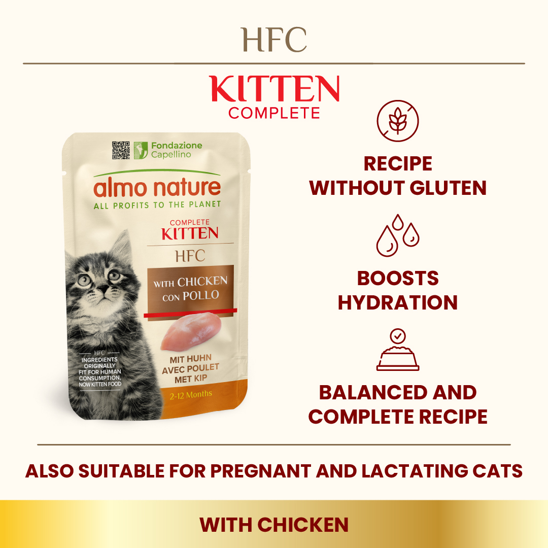 Almo Nature Kitten - Chicken Wet food 55 g - Pack of 12
