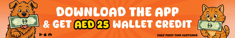 dog banner image