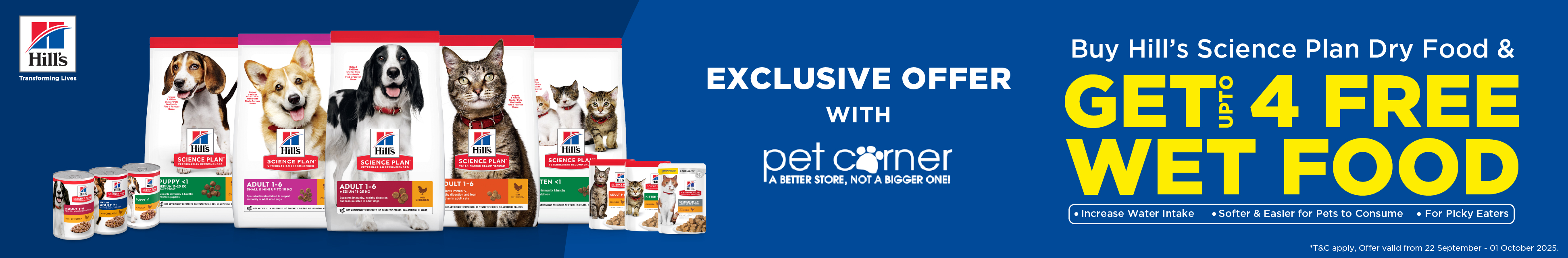 dog banner image