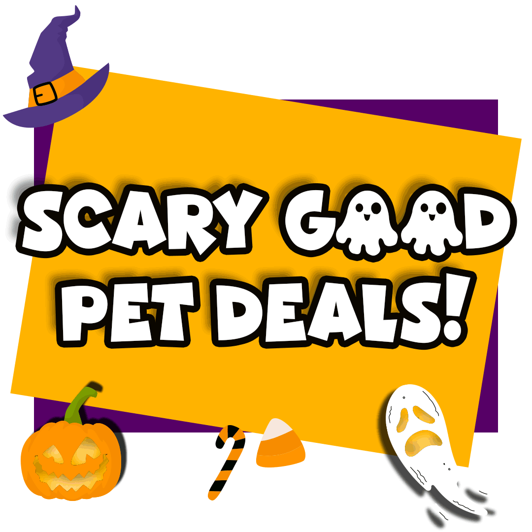🎃Hot Deals