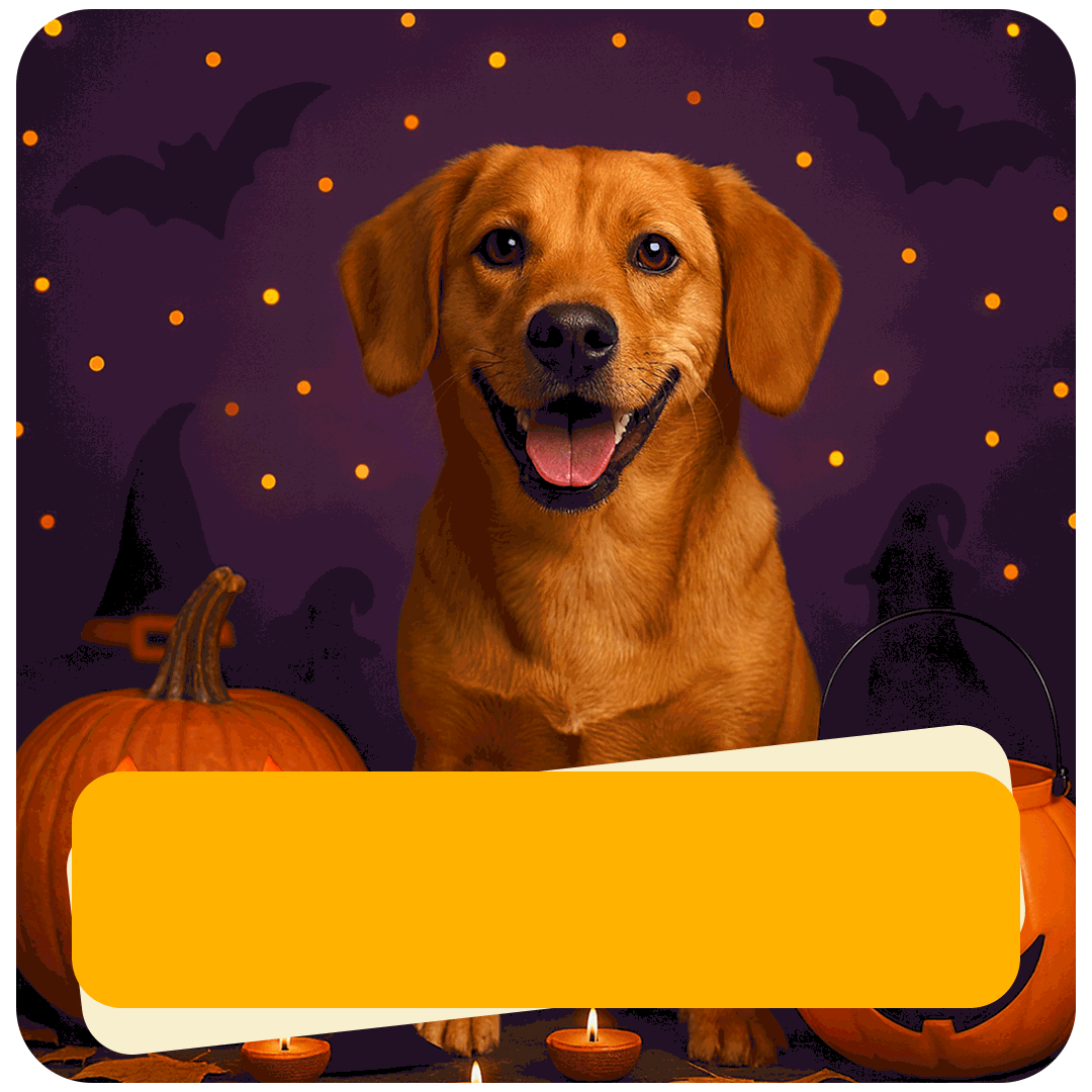 🎃Up to 20% Off
