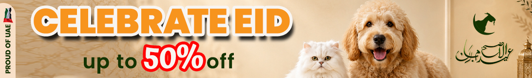 dog banner image