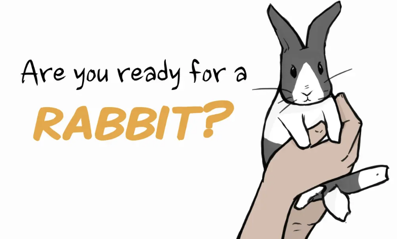 Are you Ready for a Rabbit?