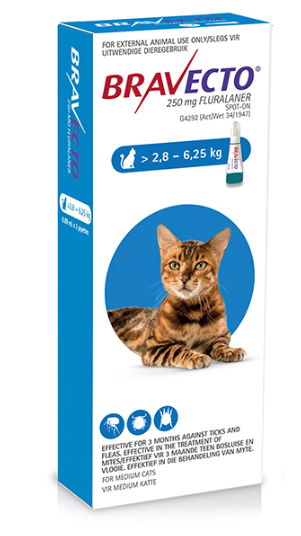 Bravecto for Cats 2.8 - 6.25 kg Spot-On 0.89ml