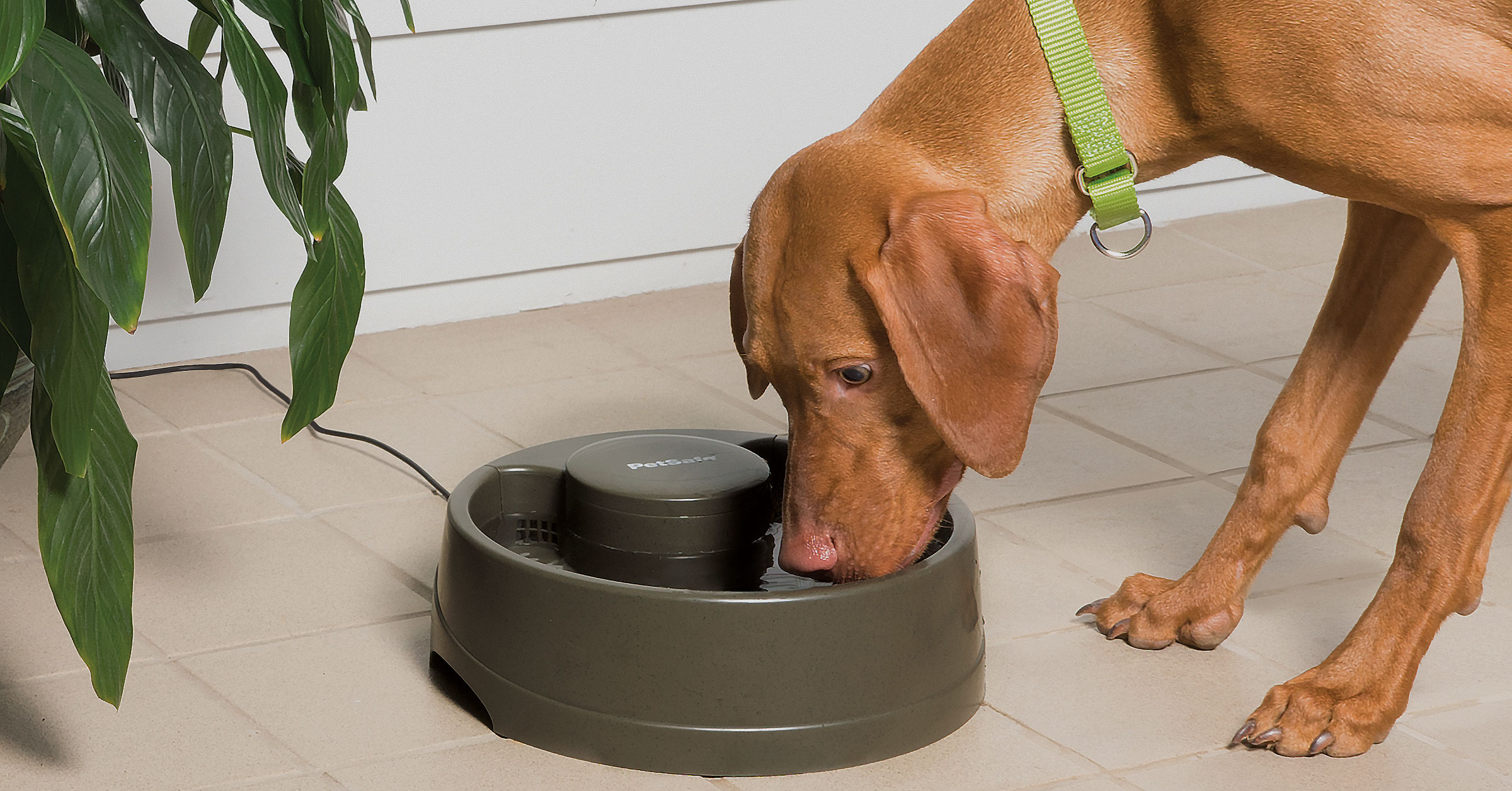 Drinkwell® Current Pet Fountain- Large-UK Adaptor