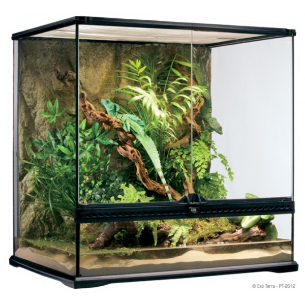 Natural Terrarium Medium/Tall 60 x 45 x 60 cm