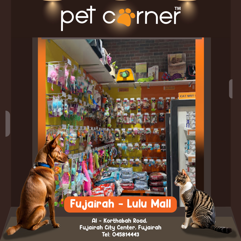 PetCorner stores