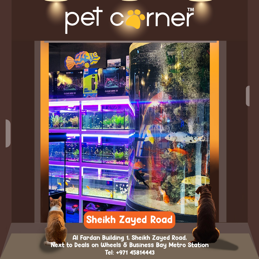 PetCorner stores