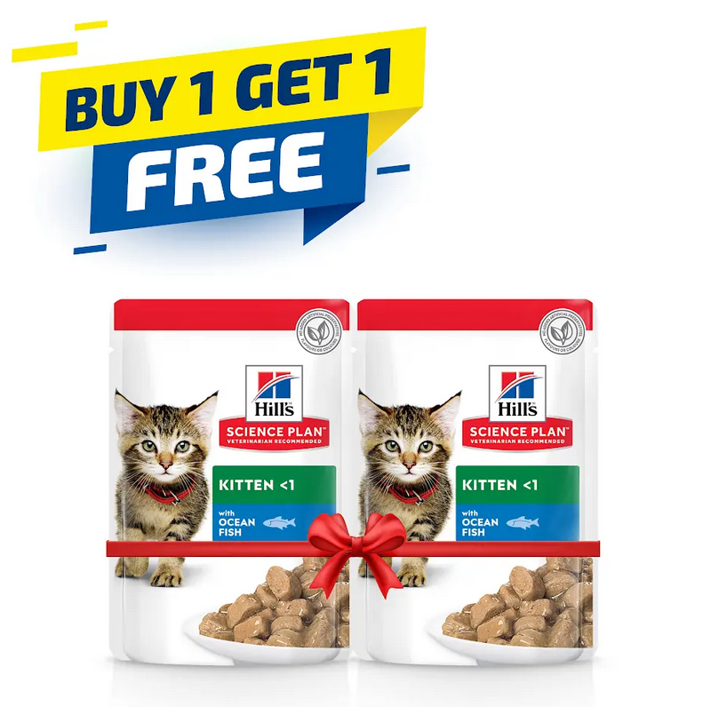 Hill's Science Plan Tender Chunks & Gravy Kitten OF Pouches 85gx12