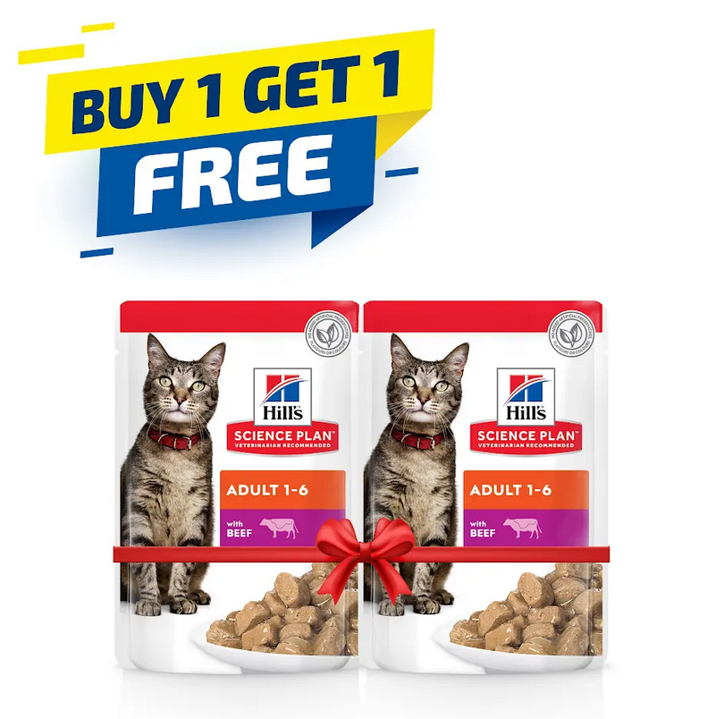 Hill's Science Plan Adult Wet Cat Food Beef Pouches 85gx12