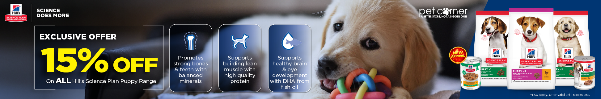dog banner image
