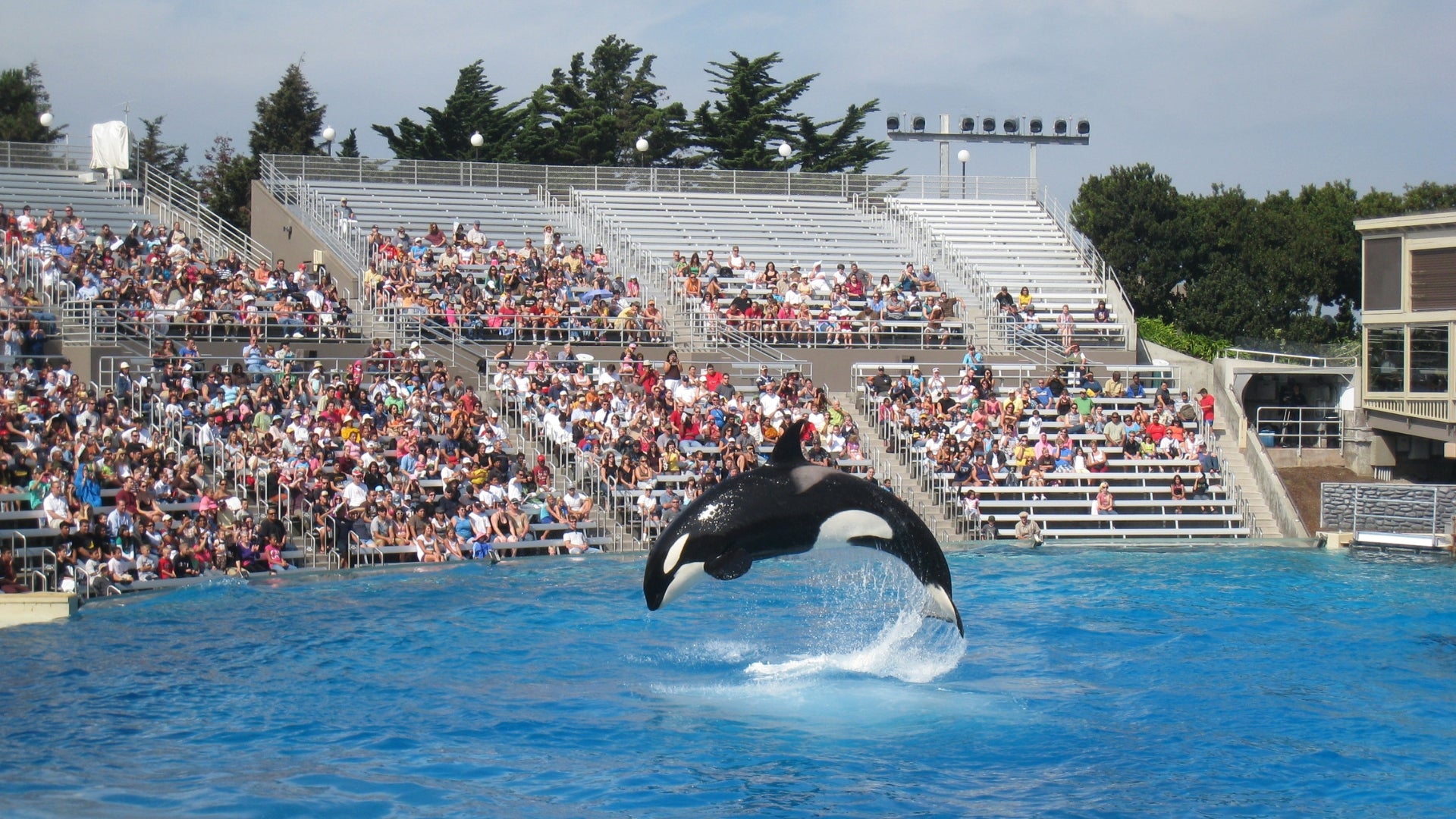 Sea World Single Ticket