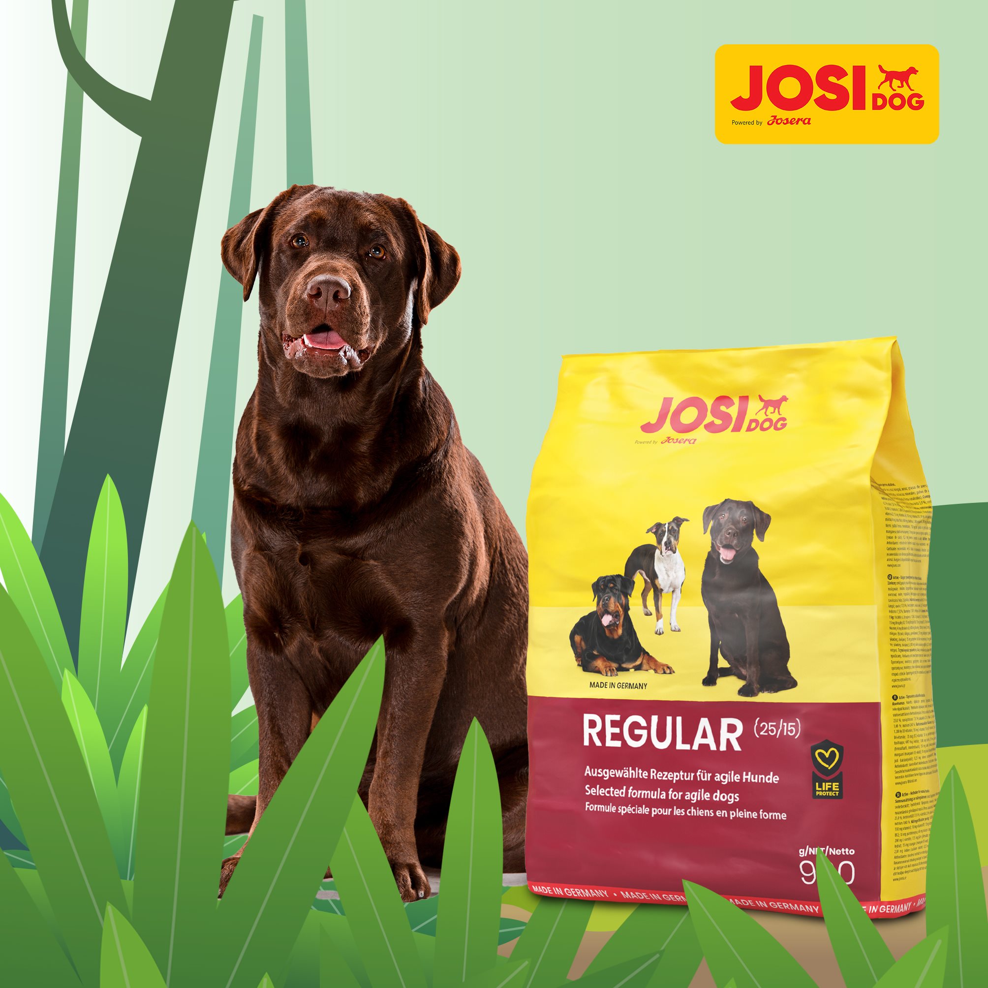 Josera Josi Dog Regular Dry Food - 900g