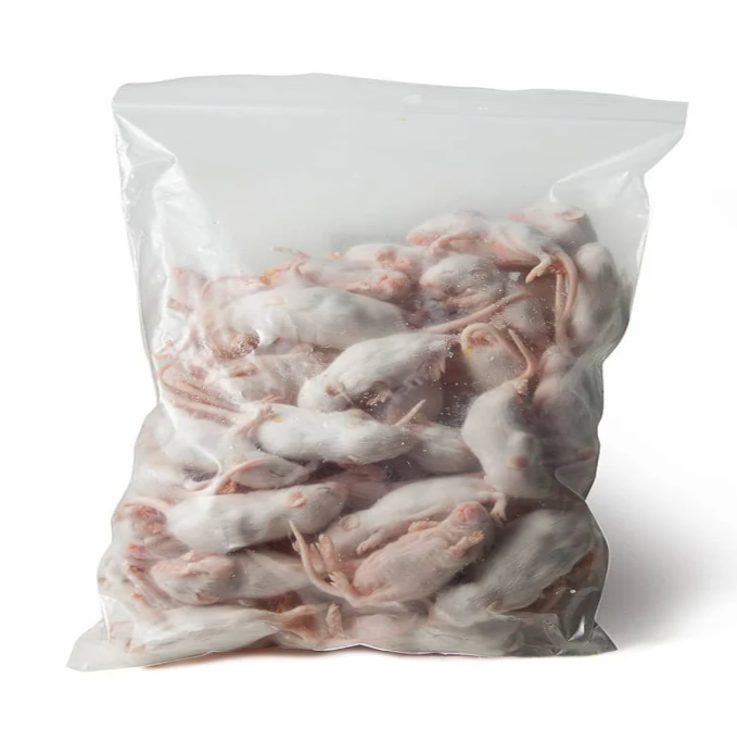 Small White Commercial Mice 10-20 g, 1 kg pack