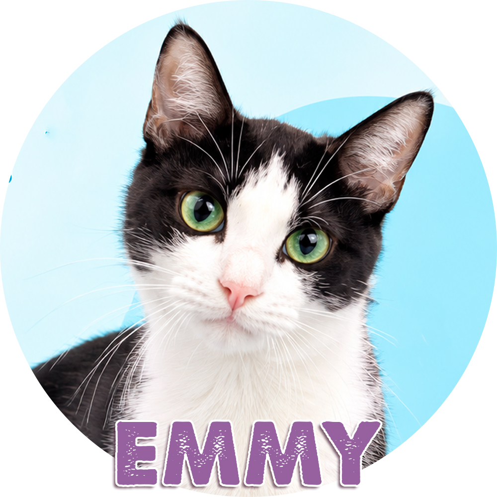 Emmy