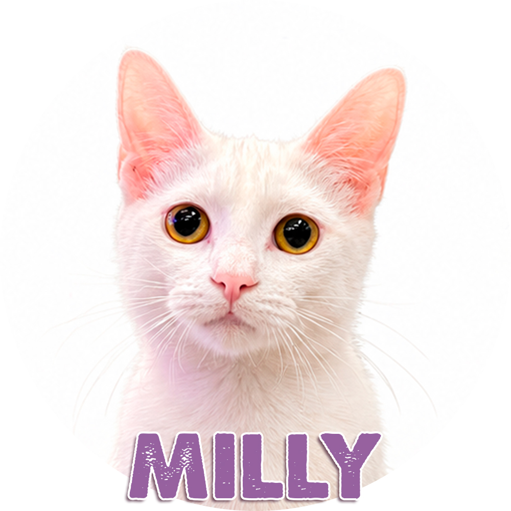 Milly