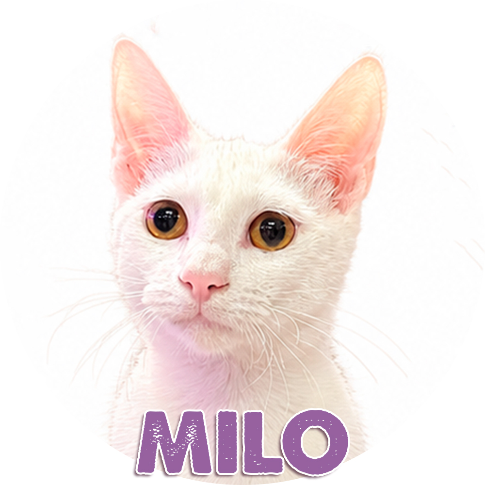 Milo