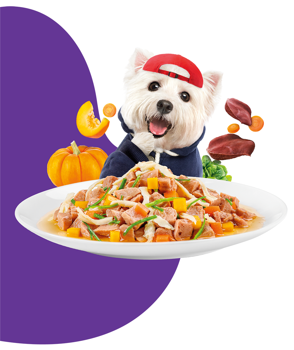 Moochie Dog Food Casserole with Chicken Liver - Digestive Care Pouch 85g Pack of 12