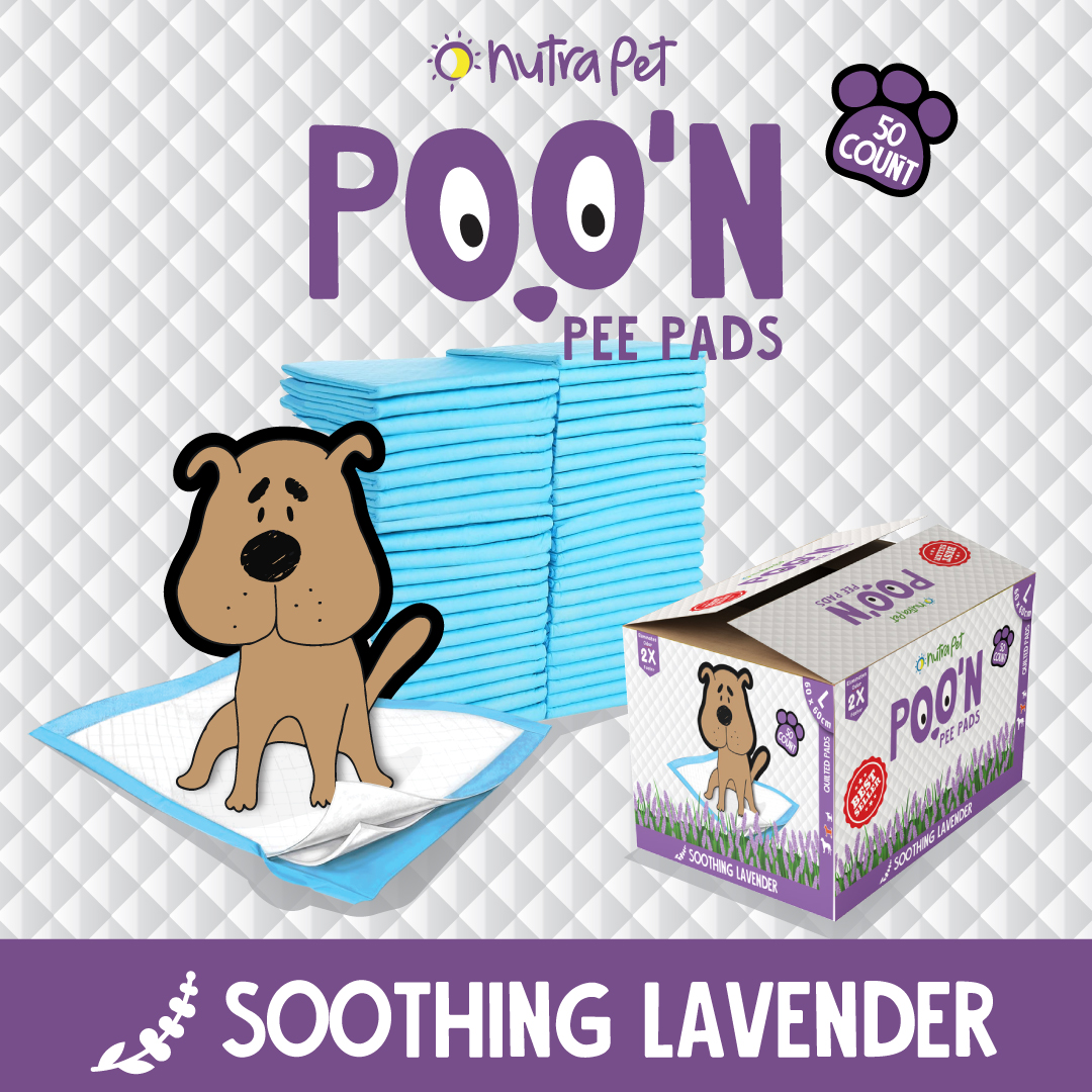 Nutrapet Poo N Pee Pads Lavender Scented - Puppy Pads Fast Absorption With Floor Mat Stickers (60x60cms) - 50 Count