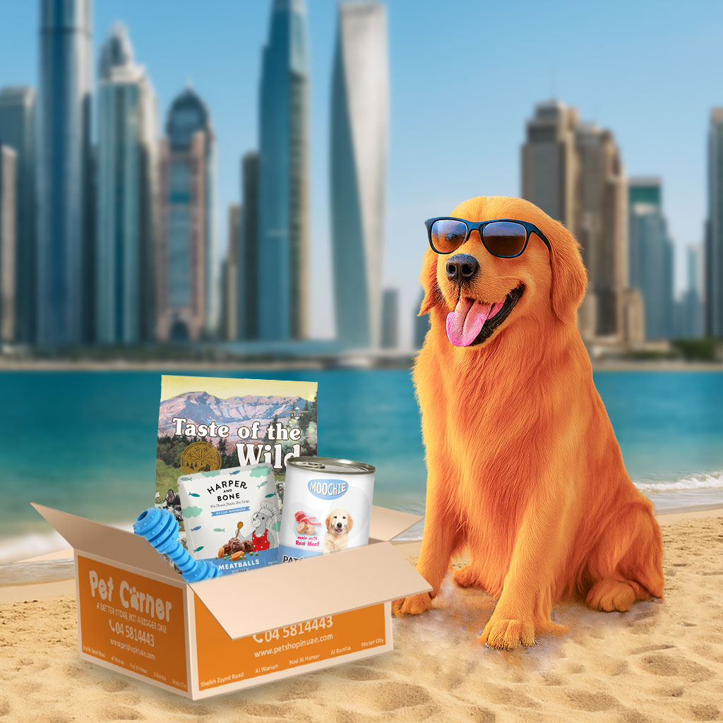Pet Corner Surprise box for Large and X Large dogs
