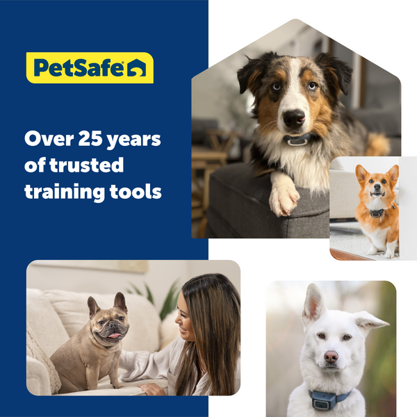 Pet Safe 300m Remote Spray Trainer