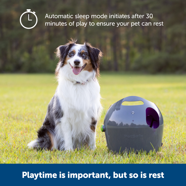 Pet Safe Automatic Ball Launcher