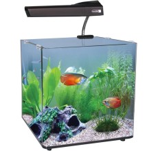 Aqua One 40 AquaNano 55L Complete Tropical Glass Aquarium Set 40cm NO CABINET INCLUDED
