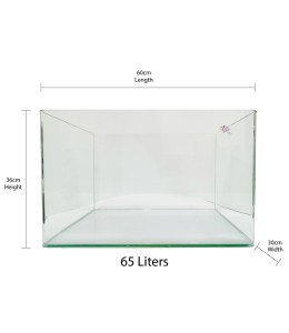 Aqua Viu Curved Glass Tanks - 60 x 30 x 36 cm