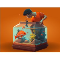 Aquarium Build