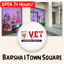 24x7 Vet Clinic