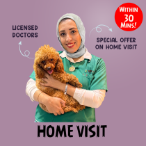 Home Visit