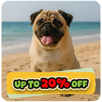 Up to 20% Off