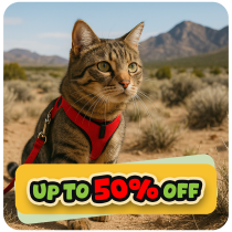 Up to 50% Off