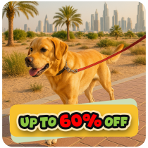 Up to 60% Off