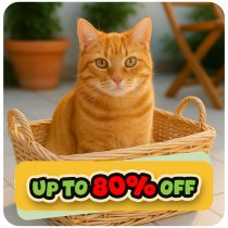 Up to 80% Off