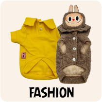 Fashion