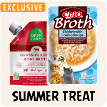 Summer Treats