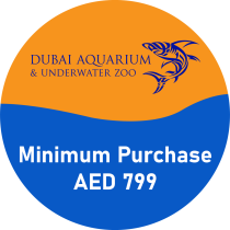 Dubai Aquarium Underwater | Minimum Spend AED 799