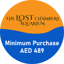 The Lost Chamber | Minimum Spend AED 489