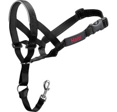 COA HH022 Head Collar Black- size2
