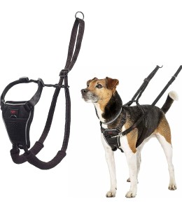 COA Halti No Pull Harness Small