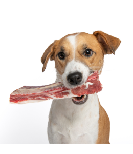 The K9 Kitchen Beef Ribs - Raw Meaty Bones for Dog - 300gm