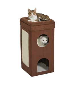 Midwest Curious Cat Cube Condo