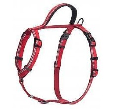 COA HW014 HALTI Walking Harness Red Small